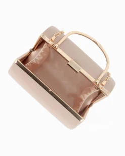 CLUTCH 1MANICO NAPP.+CATENA