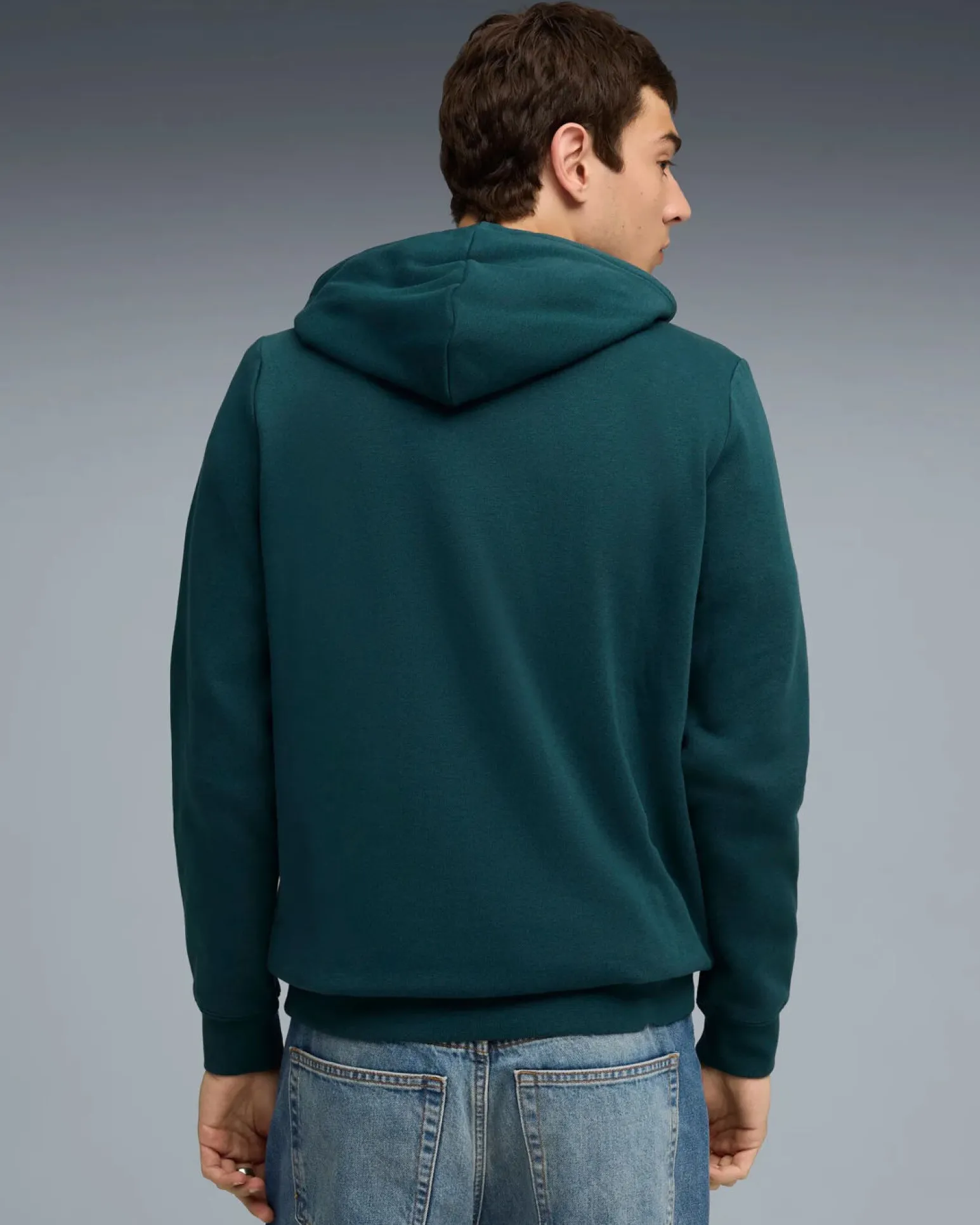 PUMA - FELPA CON CAPPUCCIO ESSENTIAL SMALL N.1 LOGO VERDE DA UOMO, 682575-75
