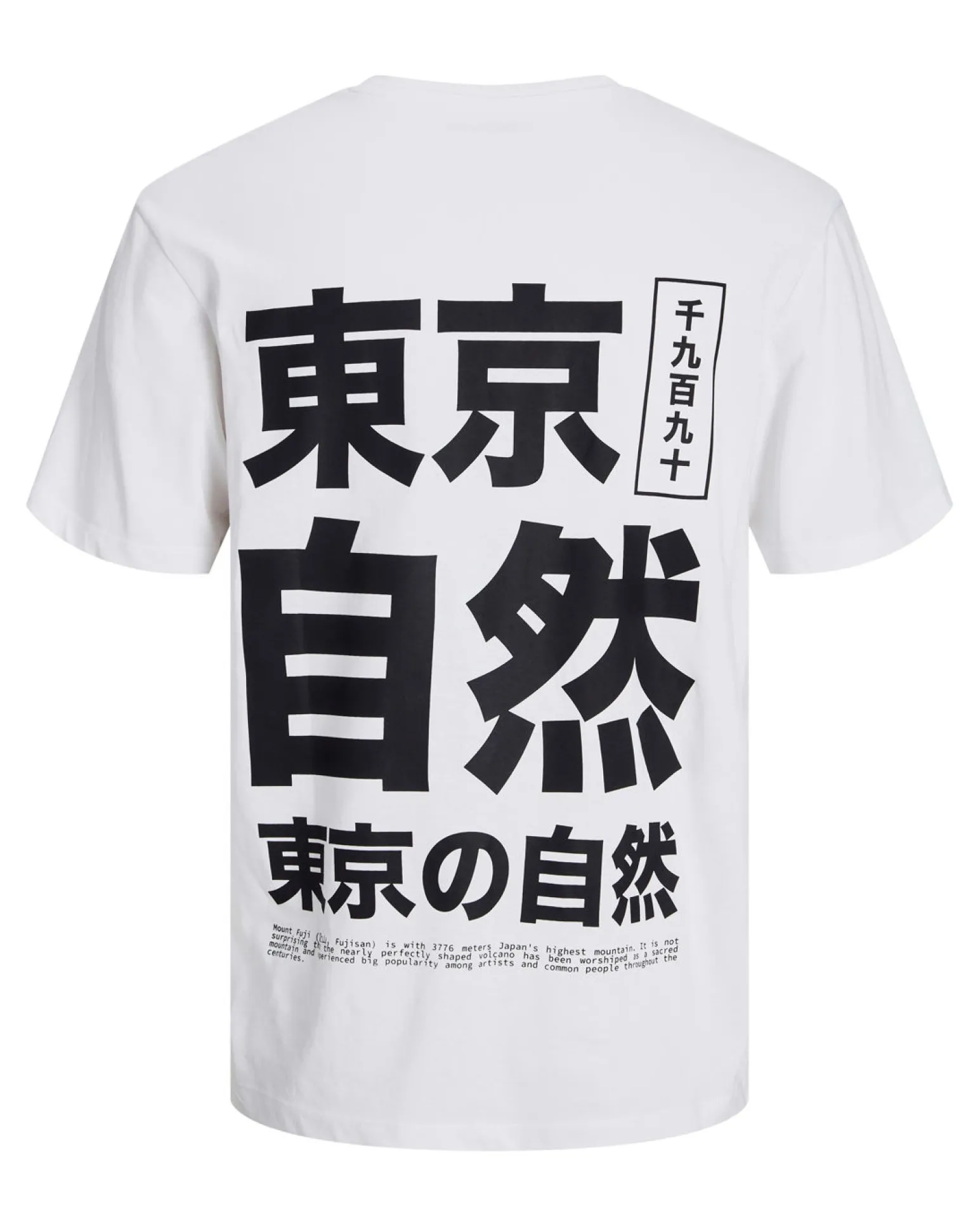 TSHIRT MANICA CORTA AYCE